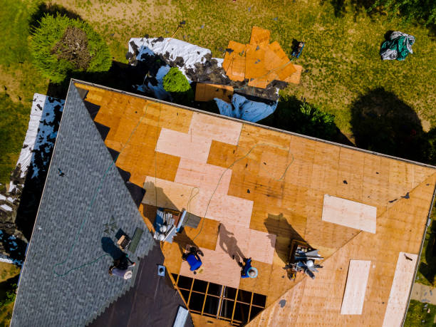 Best Best Roofing Contractors  in Ferris, TX