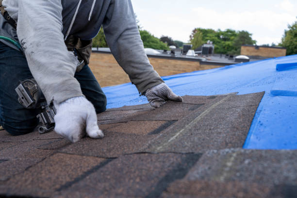 Best Local Roofing Companies  in Ferris, TX