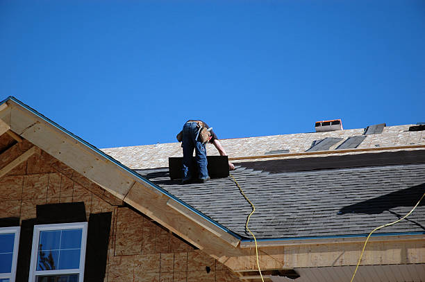 Best Roof Maintenance Services  in Ferris, TX