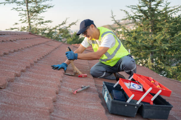 Best Storm Damage Roof Repair  in Ferris, TX