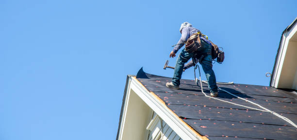 Best Roof Leak Repair  in Ferris, TX